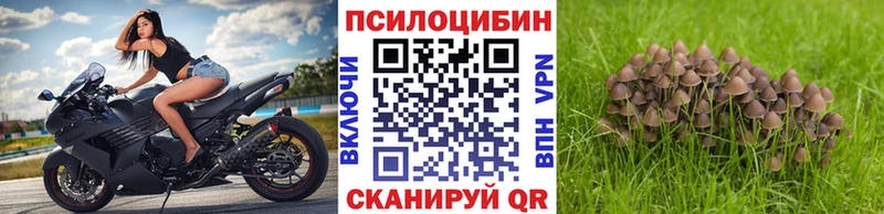 Галлюциногенные грибы мицелий как найти закладки Петров Вал